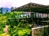 Burangrang Cafe Hits Recomended Instagramable di Lembang Bandung Jawa Barat