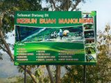Fasilitas Kebun Buah Mangunan Imogiri Bantul Yogyakarta