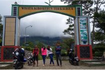 Foto Gerbang Rute dan Lokasi Wisata Kebun Teh Kaligua Bumiayu