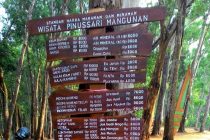 Harga Makanan di Hutan Pinus Mangunan Dlingo Bantul Yogyakarta
