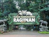 Kebun Binatang Ragunan
