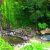Keindahan Wisata Alam Air Terjun Sedudo Nganjuk