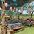 Lokasi dan Harga Tiket Masuk Dira Park Garden and Resto Ambulu Jember