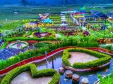 Spot Foto Cafe Sawah Desa Wisata Pujon Kidul Malang Jawa timur